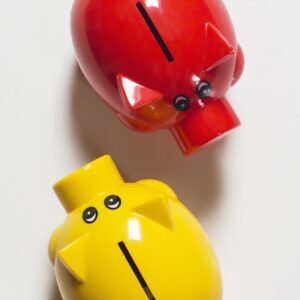 Die Kunst des Sparens: Wie Spar-Challenges Ihr Geldbewusstsein revolutionieren können auf geldsparblogger.de